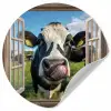 Doorkijk - Koe - Weiland - Dieren - Natuur Wandcirkel behangsticker klein -3d