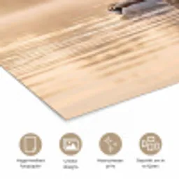 Eenden - Water - Mist - Natuur poster papier klein -closeup_NL
