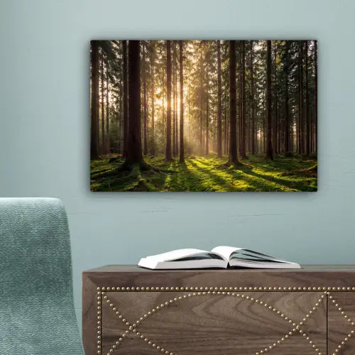 Bos - Gras - Zonlicht canvas 2cm klein -sfeer4