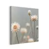 Strobloemen - Wit - Daglicht aluminium wit klein -3d