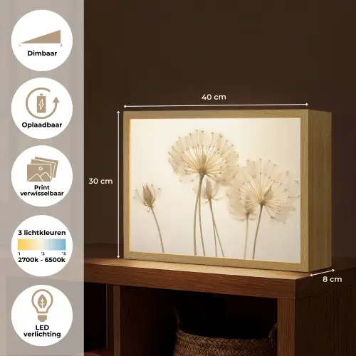 Zonlicht - Paardenbloem - Botanisch - Bloemen Light Box met batterij (Wandlamp) middel -USP_websiteoverzichtNL