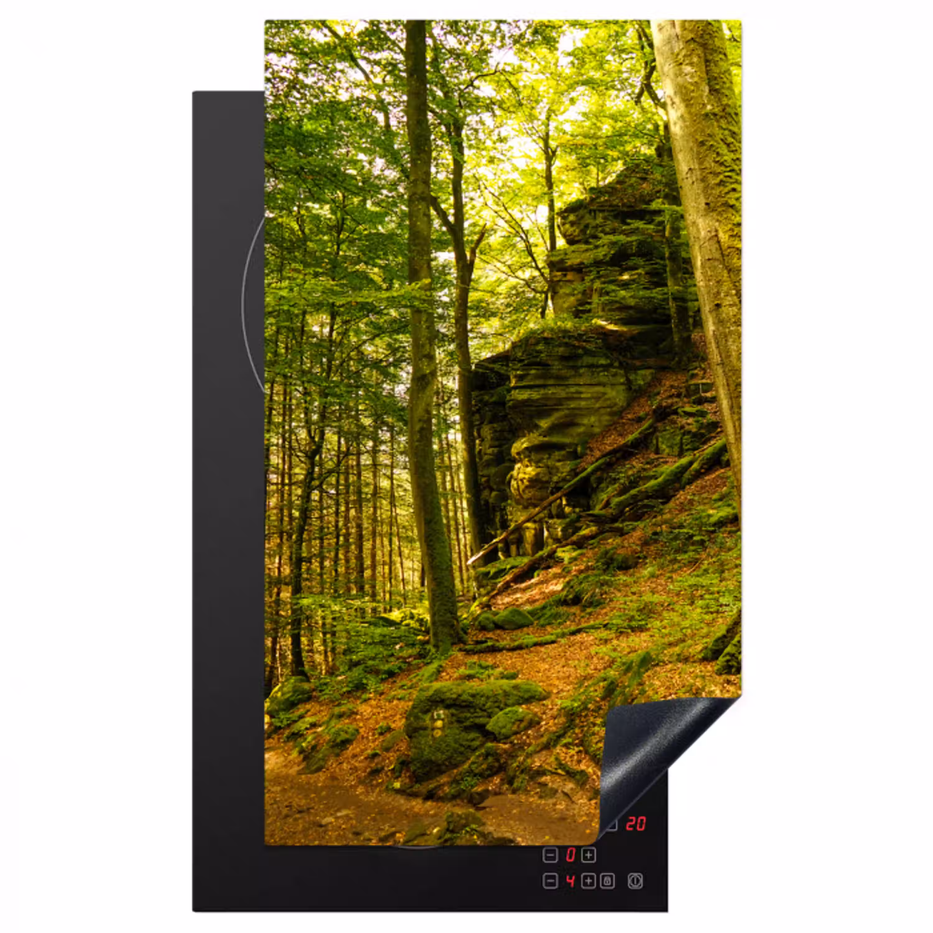 Bomen - Steen - Bos - Natuur - Planten Inductie beschermer vinyl 3mm middel -3d