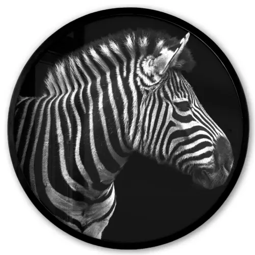 Zebra - Zwart - Wit - Portret - Dieren Fotolijst rond zonder passe partout klein -3d