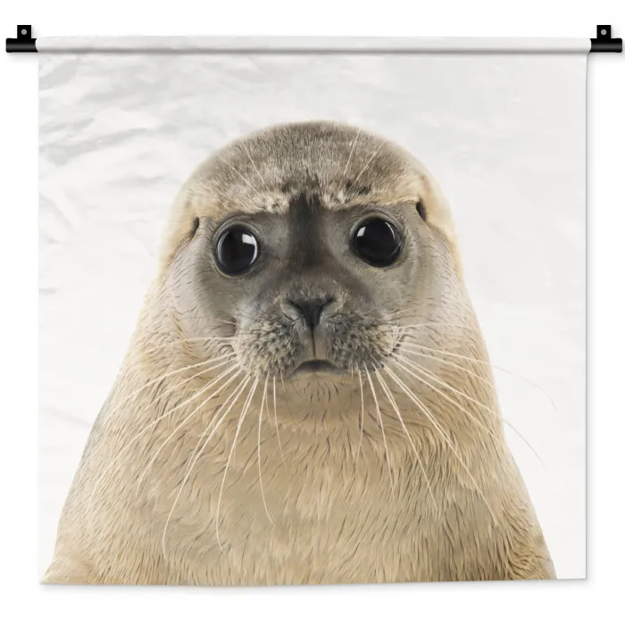 Jongens - Zeehond - Kinderen - Meisjes - Dieren Wandkleed katoen klein -zz3d