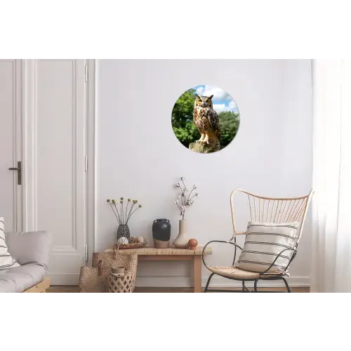 Uil - Boomstronk - Bos - Lucht Wandcirkel aluminium klein -woonkamer