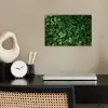 Groen - Bladeren - Kartel - Zonlicht poster papier klein -sfeer1