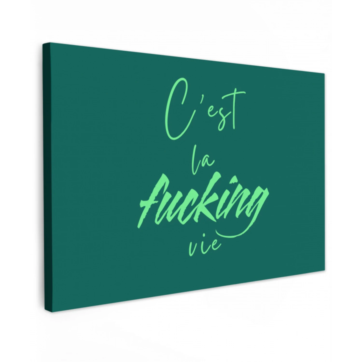 c'est la fucking vie - Groen - Handgeschreven canvas 2cm klein -z3d
