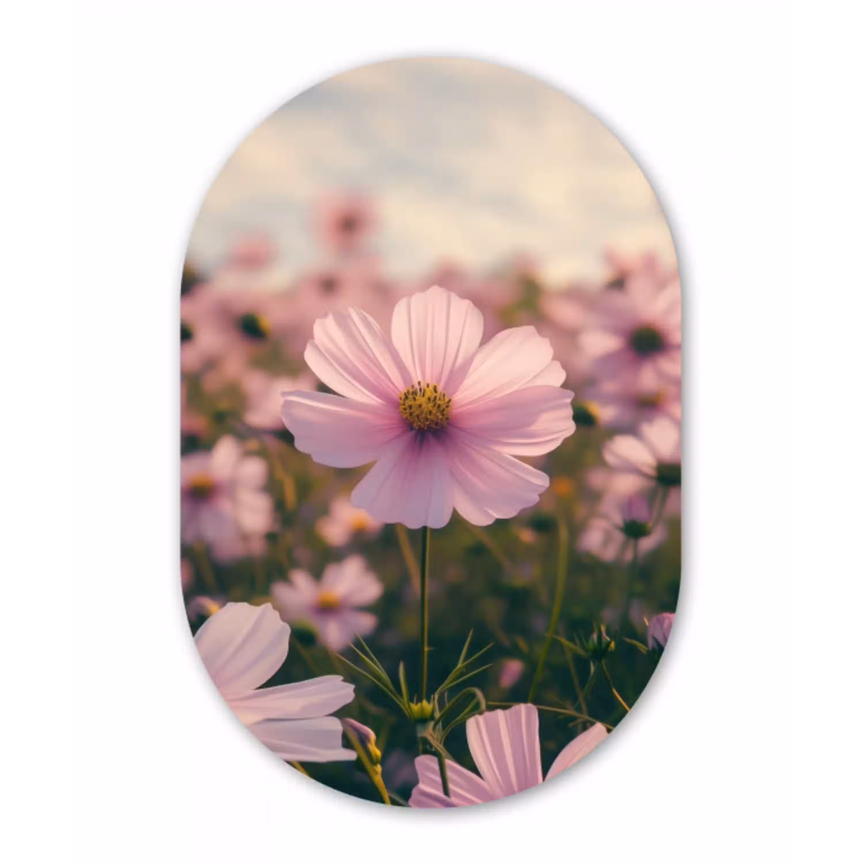Bloemen - Paars - Wazig Wandcirkel Ovaal Aluminium middel -3d