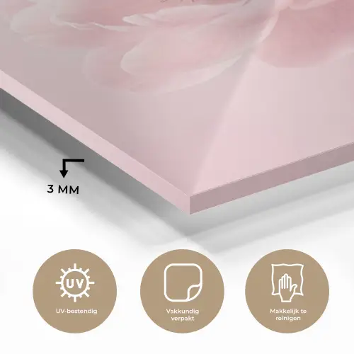 Bloem - Pioenroos - Roze plexiglas 5mm klein -sfeer2
