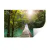 Jungle - Water - Brug - Natuur - Planten Muursticker klein -3d