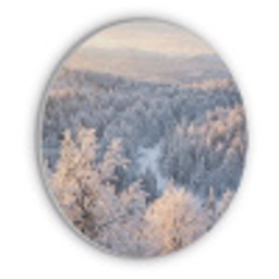 Bos - Bergen - Goud - Winter - Warm Akoestische PET Vilt - Rond klein -3d