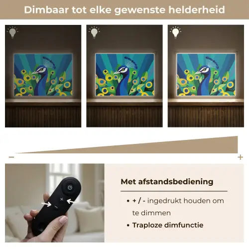 Pauw - Cirkels - Blauw Light Box met batterij (Wandlamp) middel -USP_dimbaarNL