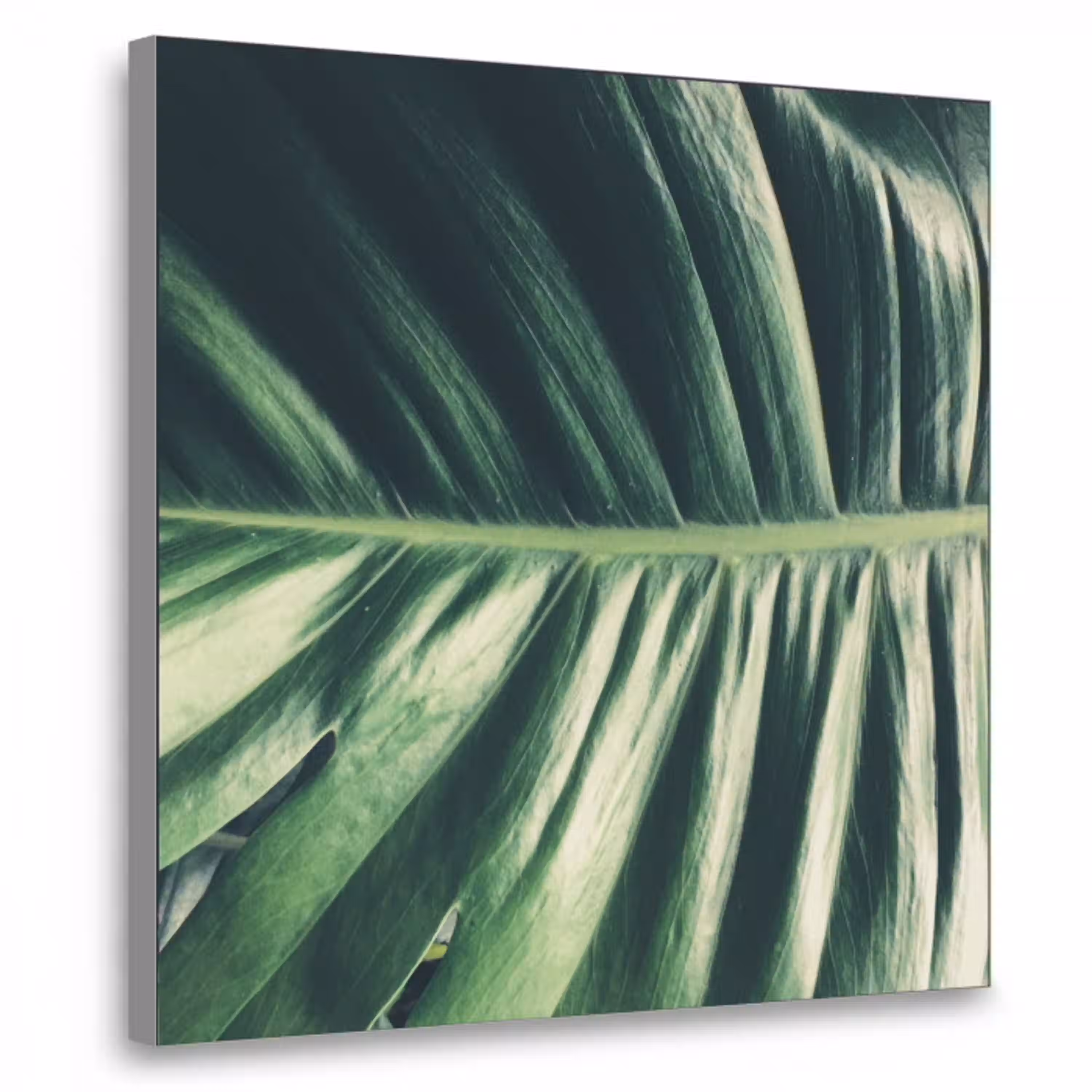 tropical-inductiebeschermer-cm-hfhdesznbkmyijig-1-1-textielframe-zilver-klein-3d.jpg