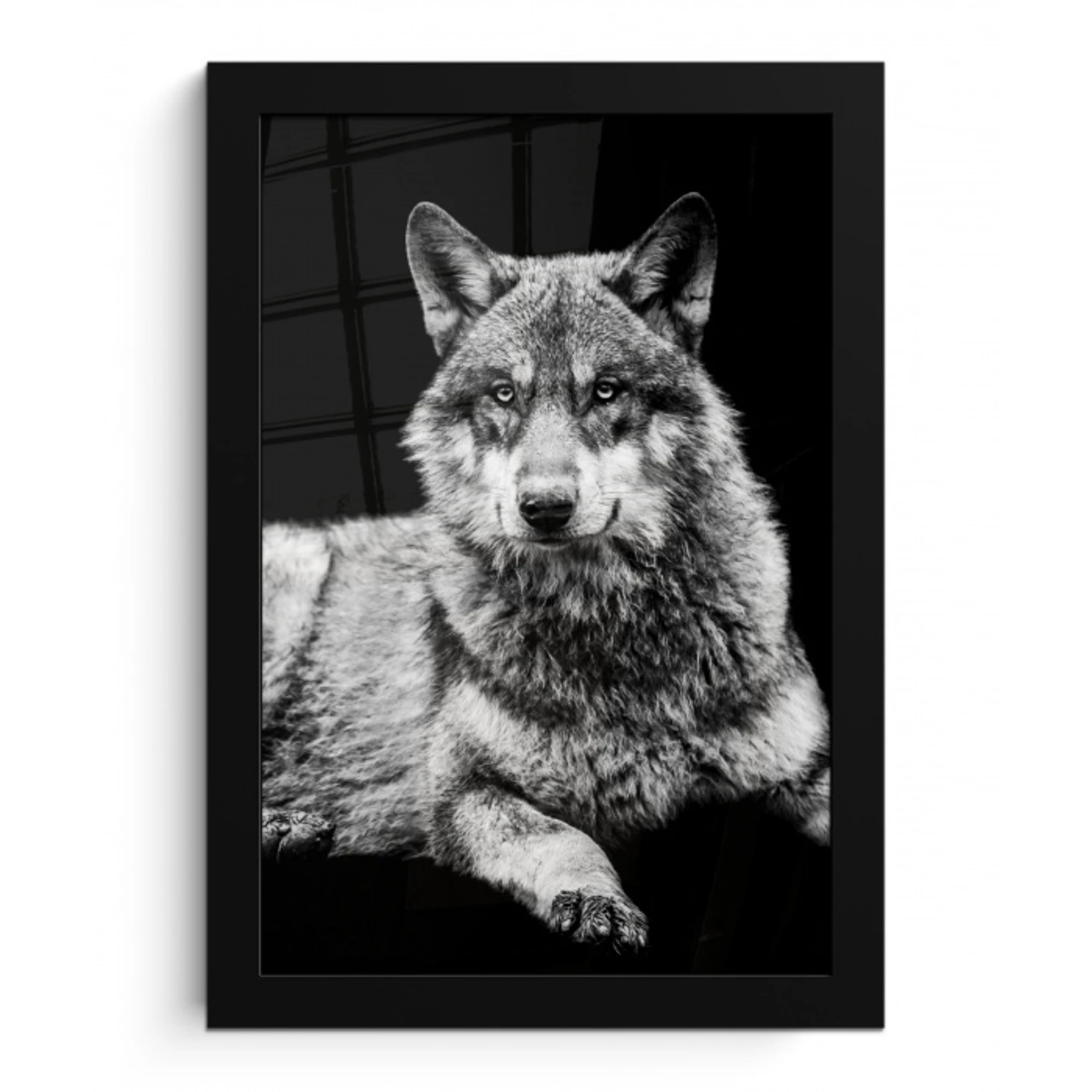 Wilde dieren - Wolf - Zwart - Wit fotolijst zwart zonder passe partout klein -3d