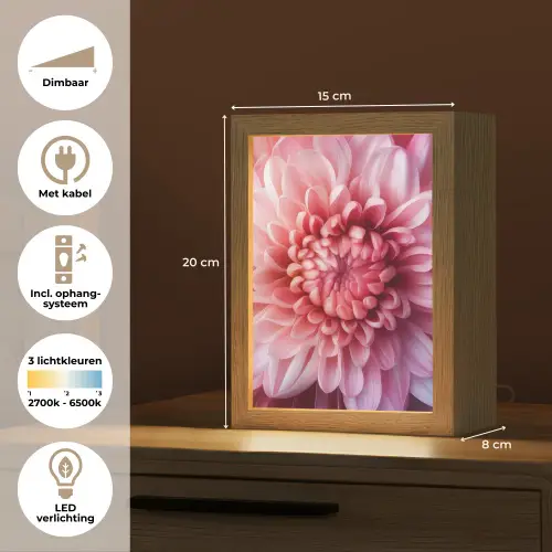 Dahlia - Bloem - Close up - Roze Light Box met kabel (Tafellamp) klein -USP_NL