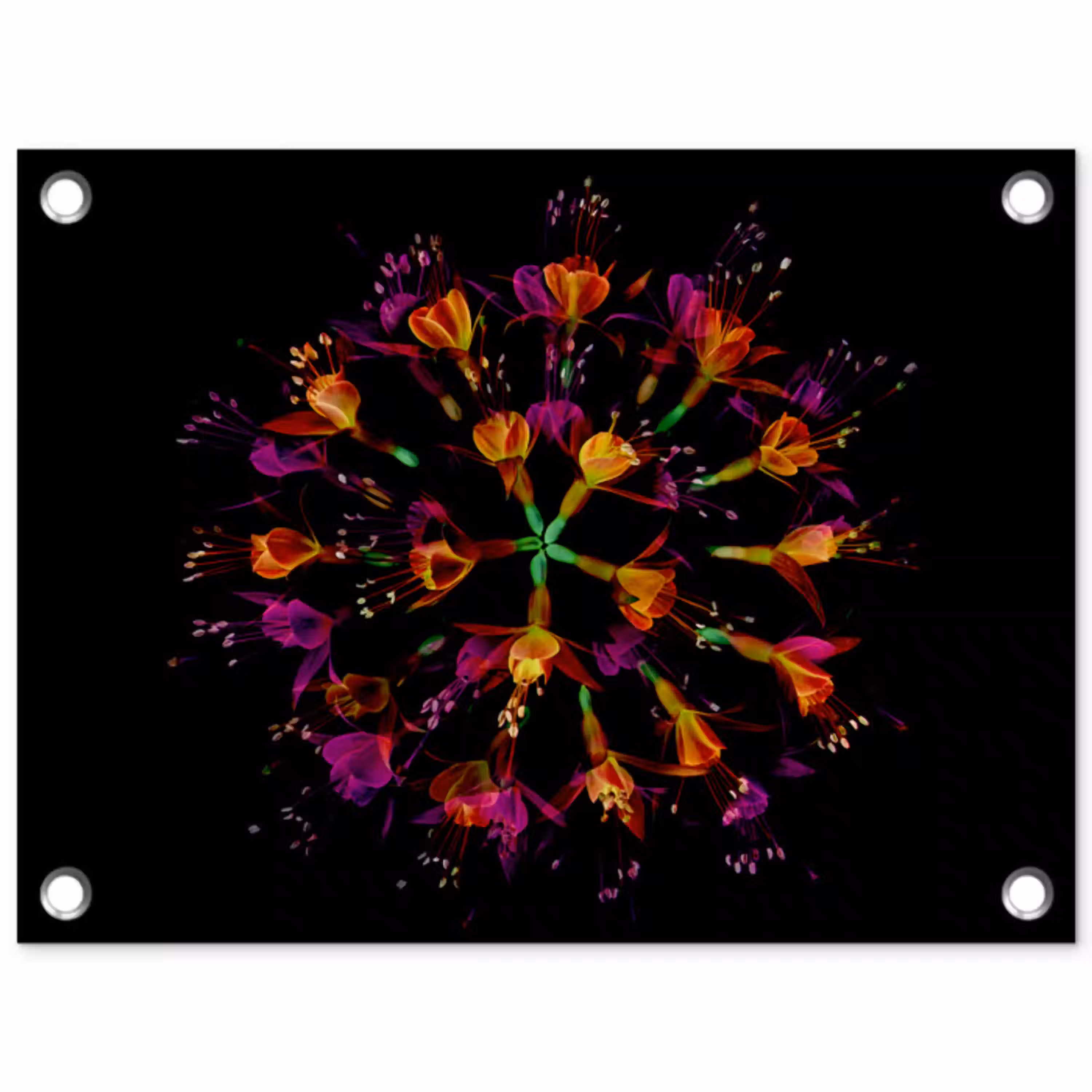 Bloemen - Oranje - Roze - Zwart tuinposter los doek klein -3d