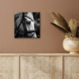 Paard - Schimmel - Portret aluminium wit klein -sfeer4