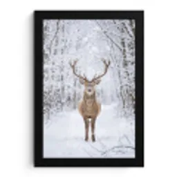 Hert - Winter - Bos - Natuur - Wit fotolijst zwart zonder passe partout klein -3d