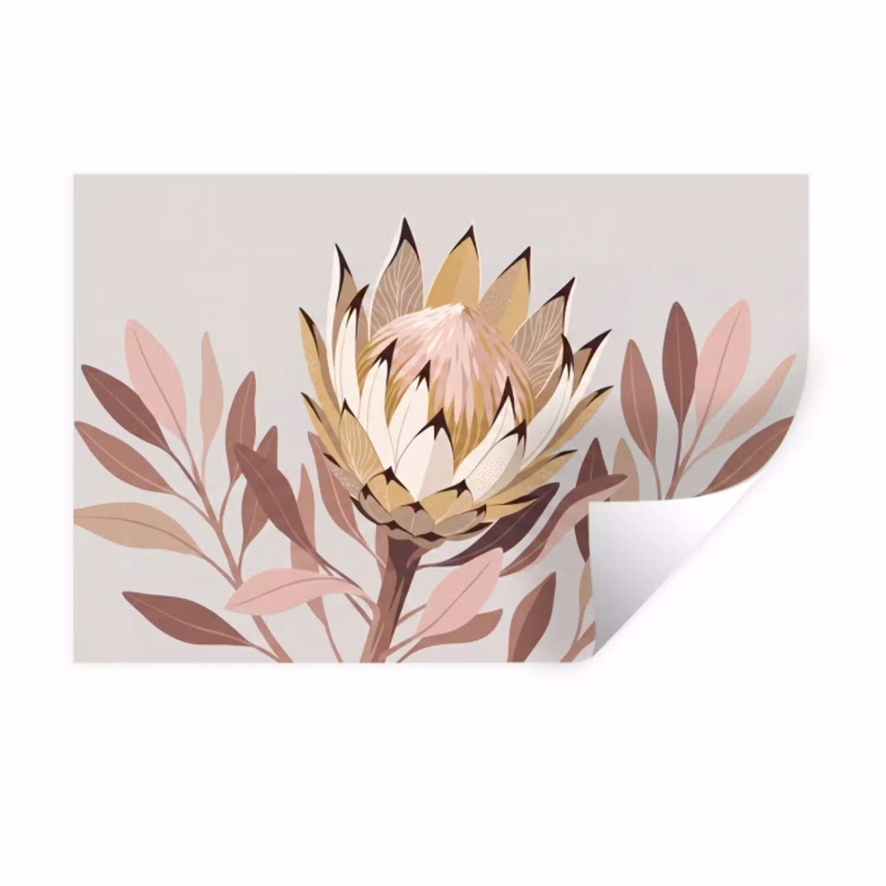 Protea - Bloem - Botanisch - Beige Muursticker klein -3d