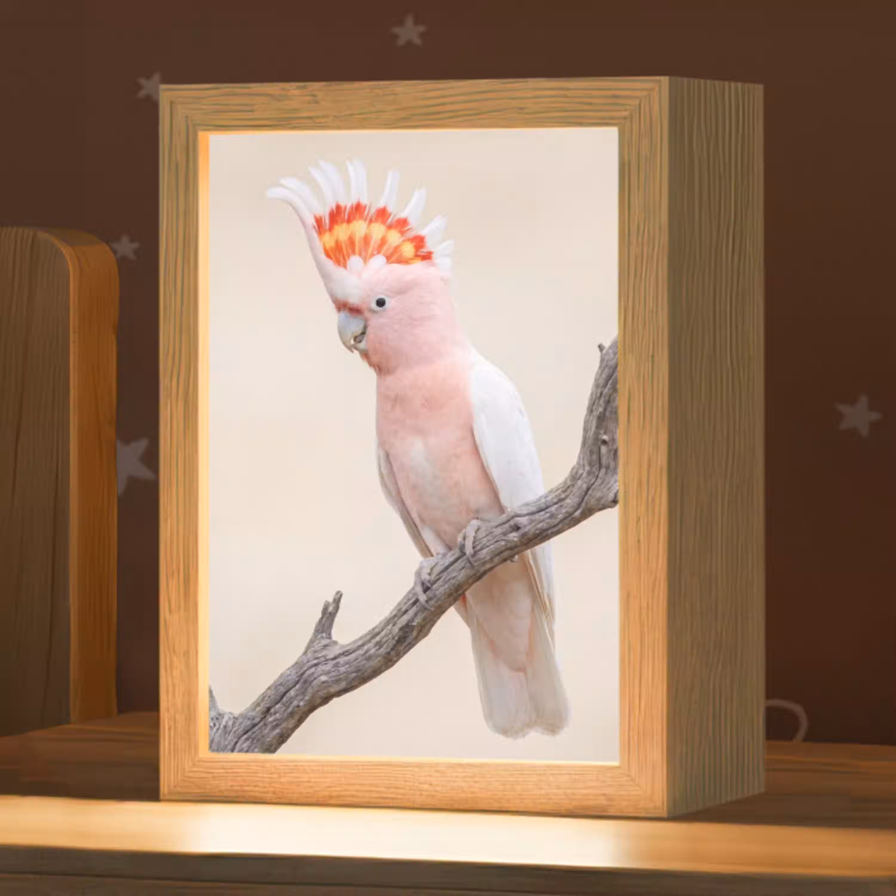 Papagaai - Tak - Roze Light Box met kabel (Kinderlampje) klein -zzz_3d_website