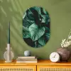Jungle - Bladeren - Tropisch - Planten - Natuur Wandcirkel Ovaal Forex klein -sfeer2