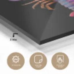 Kreeft - Paars - Roze - Zwart - Stippen - Lila plexiglas 5mm klein -sfeer2
