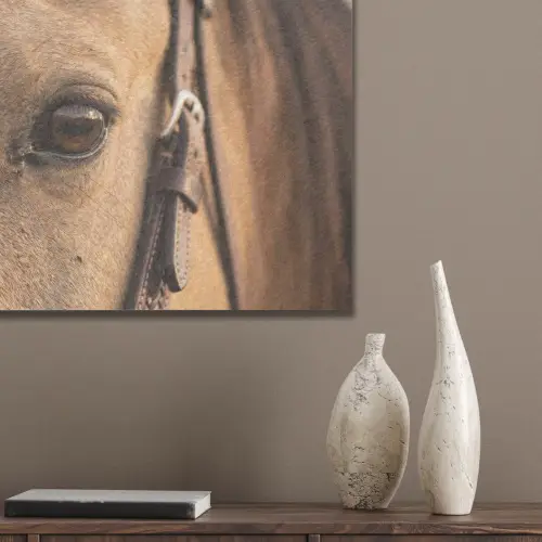 Paard - Oog - Bruin PET vilt klein -sfeer6_closeup