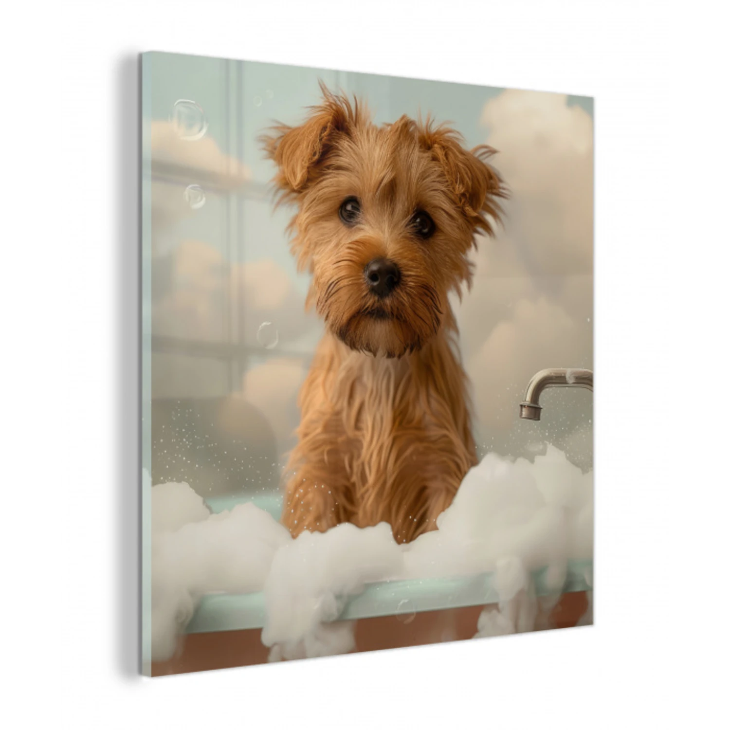 Hond - Bad - Dieren - Schuim plexiglas 5mm klein -z3d