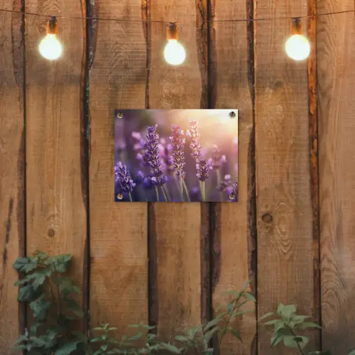 Lavendelbloemen - Paars - Zonlicht tuinposter los doek klein -sfeer1