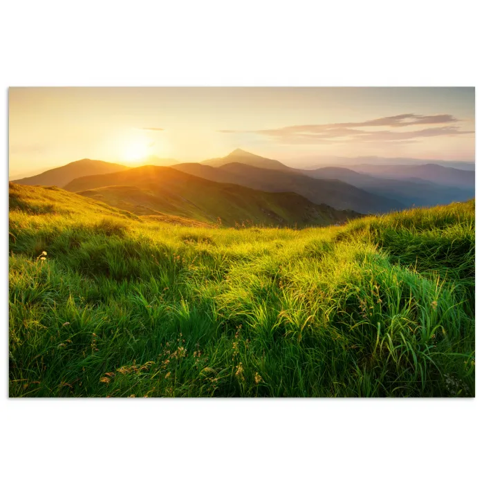 Gras - Heuvels - Zon - Natuur - Landschap poster papier klein -3d