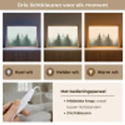 Sparren - Bomen - Groen - Beige Light Box met kabel (Tafellamp) klein -USP_lichtkleurNL
