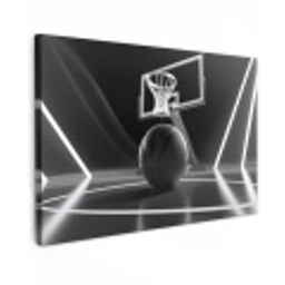 Basketbal - Basketbalveld - Lichtlijnen Tuinposter op houten frame 2 cm dik klein -3d