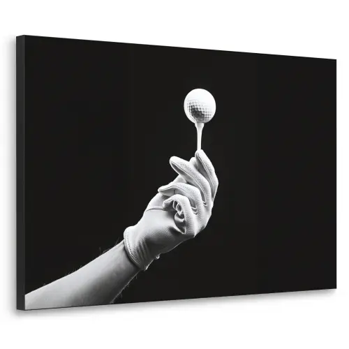 Golfbal - Zwart - Wit Textielframe zwart klein -3d
