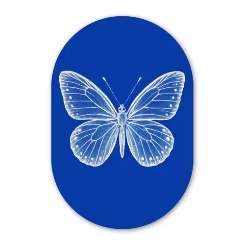 Vlinder - Wit - Getekend - Stippen Wandcirkel Ovaal Glas middel -3d