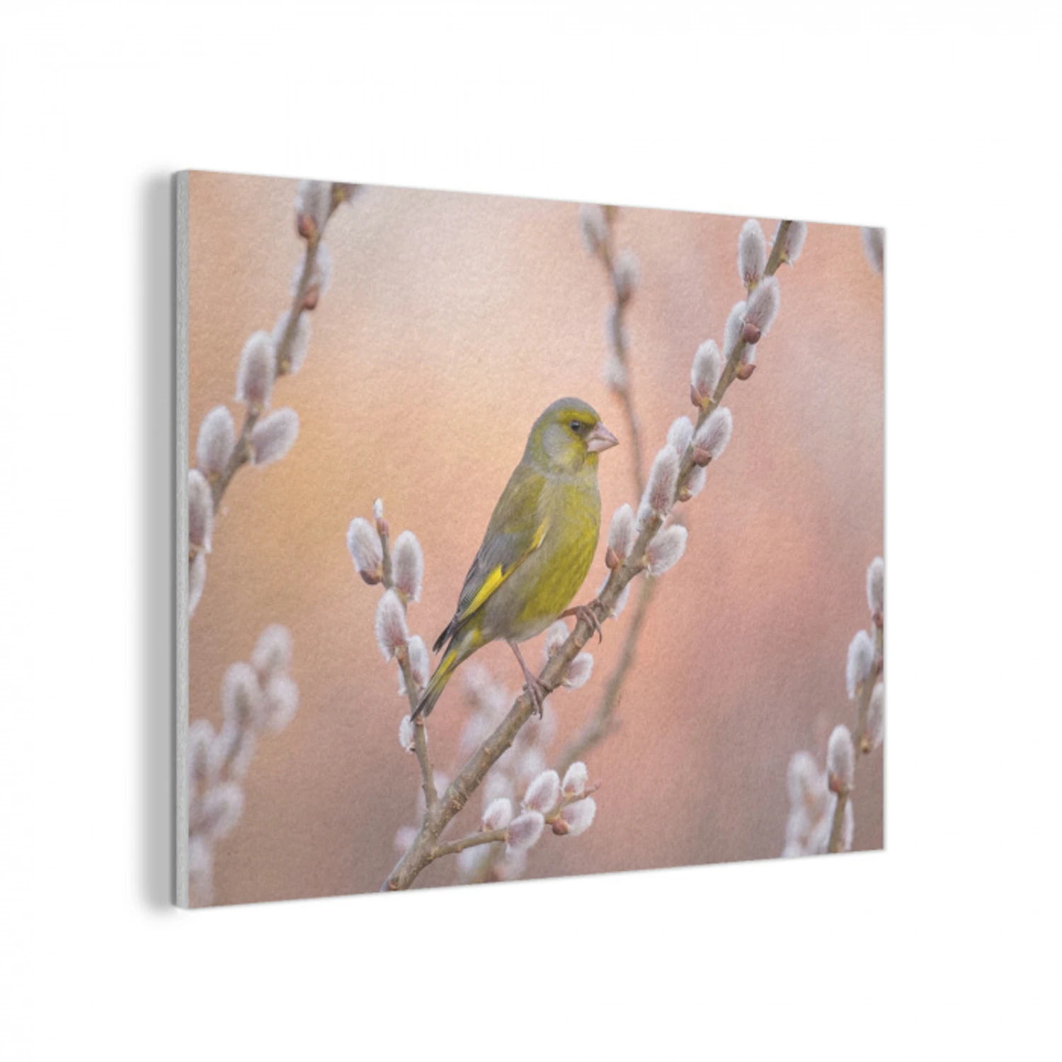 Groenling - Katjes - Lente - Natuur - Zacht PET vilt klein -3d