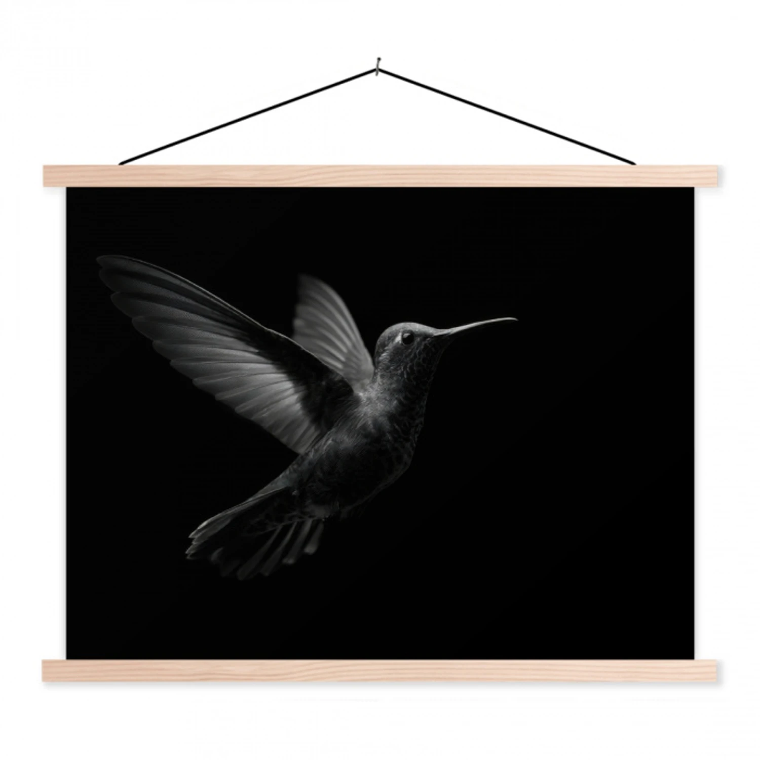 Kolibrie - Zwart - Dieren textielposter latten blank klein -3d