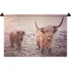Schotse hooglanders - Licht - Lucht - Natuur Wandkleed katoen klein -zz3d
