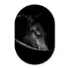 Paarden - Portret - Zwart - Dieren Wandcirkel Ovaal Forex klein -3d