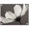 Bloem - Minimalistisch - Zwart - Wit tuinposter los doek klein -3d