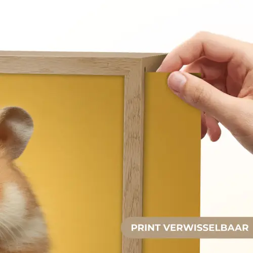 Hamster - Nootje - Geel - Knaagdier Light Box met batterij (Wandlamp kind) middel -USP_websiteprintNL