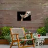 Giraffe - Dieren - Zwart - Portret - Dieren Tuinposter op houten frame 2 cm dik klein -sfeer3