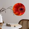 Oranje - Gerbera - Intens Wandcirkel behangsticker klein -sfeer3