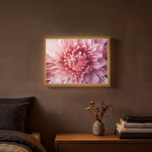 Dahlia - Bloem - Close up - Roze Light Box met batterij (Wandlamp) middel -sfeer4
