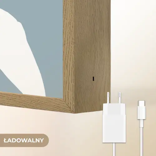 Dino - Pteranodon - Dinosaurus - Blauw Light Box met batterij (Wandlamp kind) middel -USP_websiteoplaadbaarNL