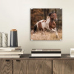 Paard - Bruin - Gras plexiglas 5mm klein -sfeer1