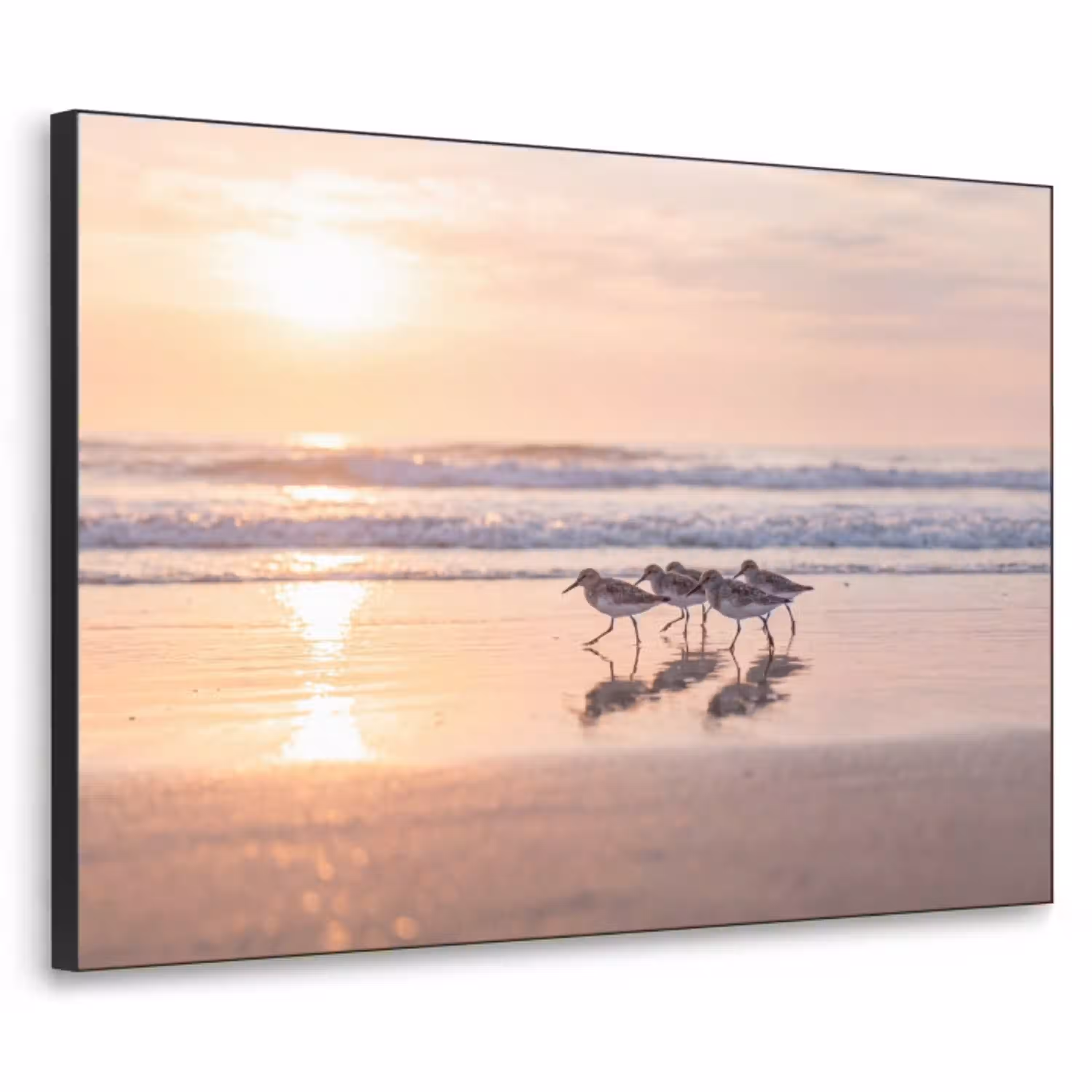 Zee - Vogels - Strand Textielframe zwart klein -3d