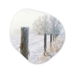 Hek - Sneeuw - Mist - Platteland - Nostalgisch Wandcirkel Organisch Aluminium middel -3d