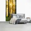 Bos - Zon - Bomen - gras - Landschap fotobehang vinyl groot -slaapkamer