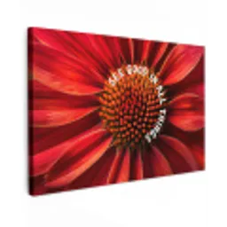 Close up - Bloem - Quote - Rood Tuinposter op houten frame 2 cm dik klein -3d