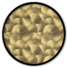 Modern - Cirkel - Goud Fotolijst rond zonder passe partout klein 856 -3d